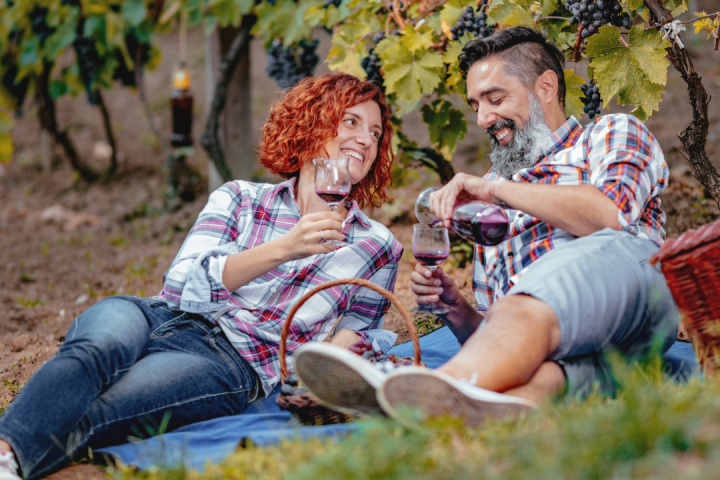 picnic with wine