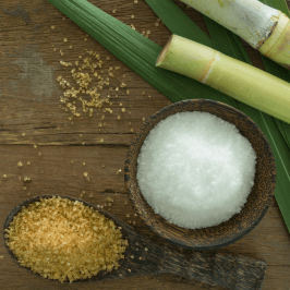 sugarcane tour in madeira