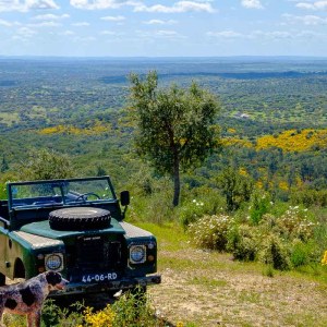 cork jeep tour