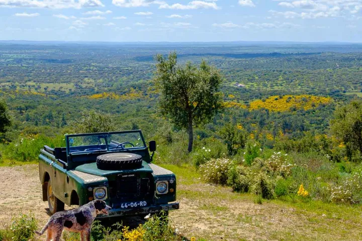 cork jeep tour