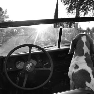 cork jeep tour portugal