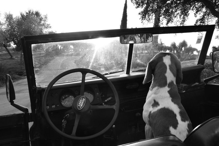 cork jeep tour portugal