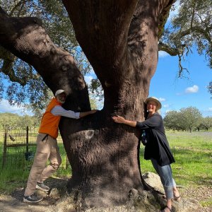 cork tours in portugal