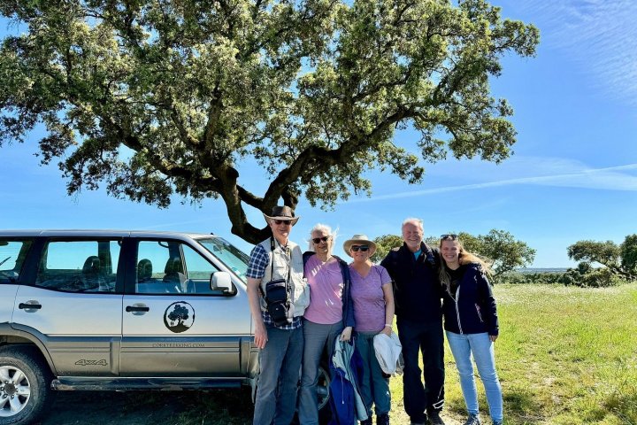 cork jeep tour