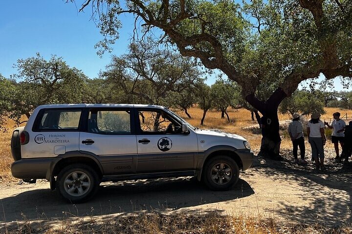 cork jeep tour portugal