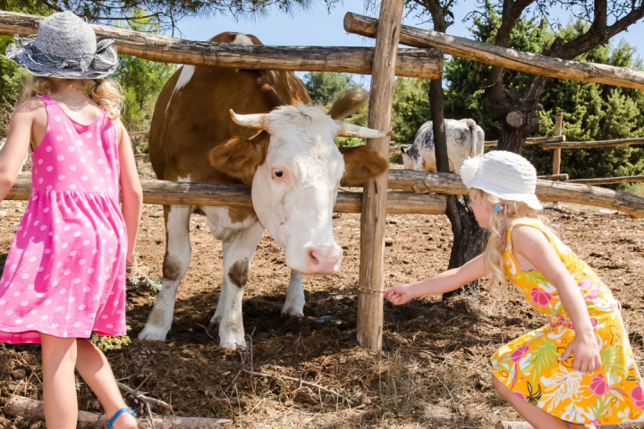 Agroecology Farm Experience