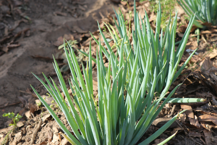 Agroecology Farm Experience