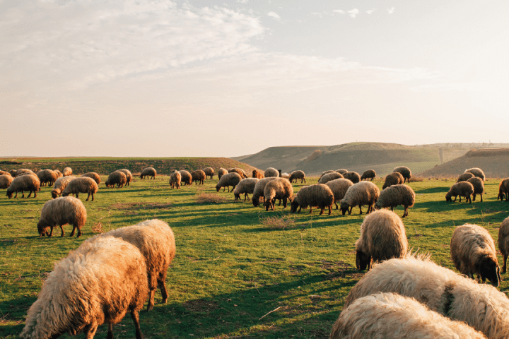 Agroecology Farm Experience