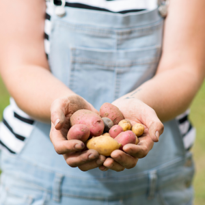 Agroecology Farm Experience