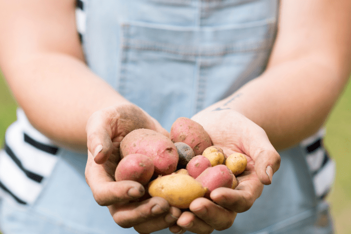 Agroecology Farm Experience