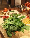 Évora Agroecology Farm Tour