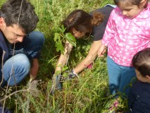 Évora Agroecology Farm Tour