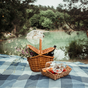 picnic tour algarve