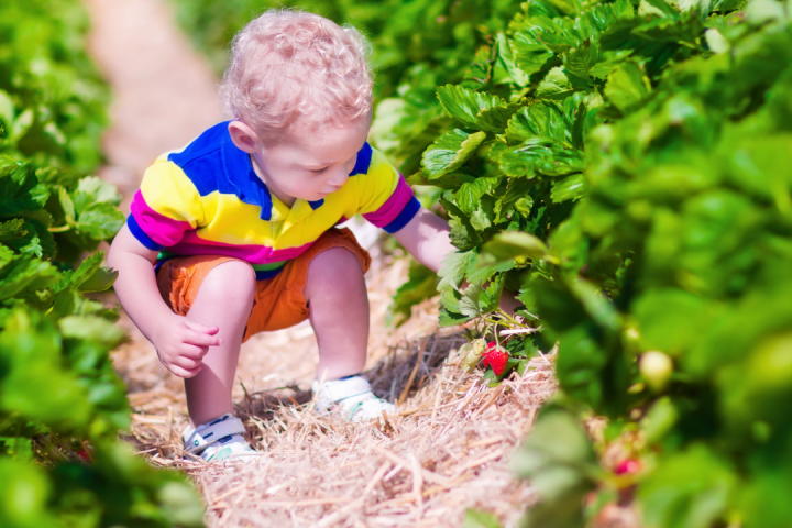 Pedagogical Farm in algarve