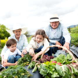 Pedagogical Farm Tour