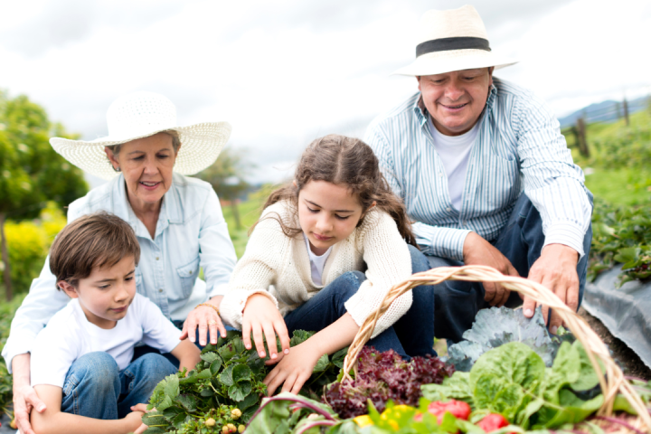 Pedagogical Farm Tour