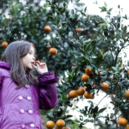 Pedagogical Farm Tour