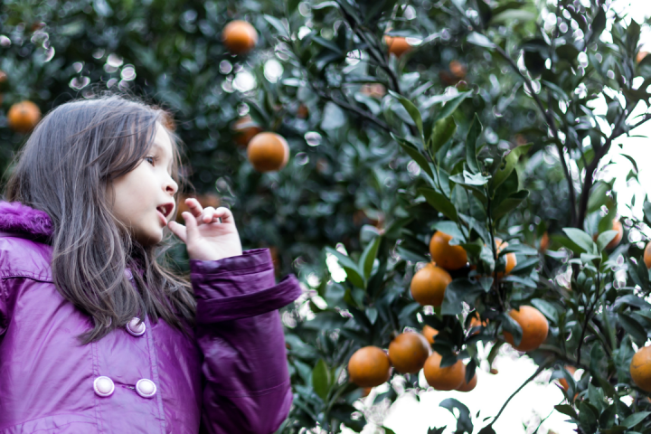 Pedagogical Farm Tour