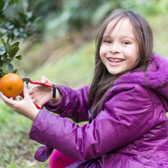 Pedagogical Farm Tour