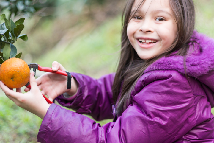Pedagogical Farm Tour