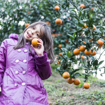 Pedagogical Farm Tour