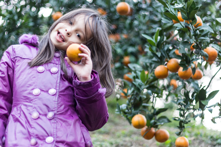 Pedagogical Farm Tour