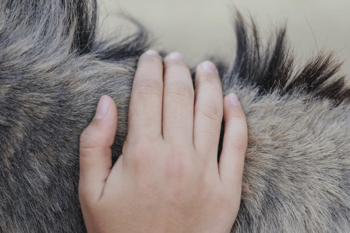 Pedagogical Farm Tour