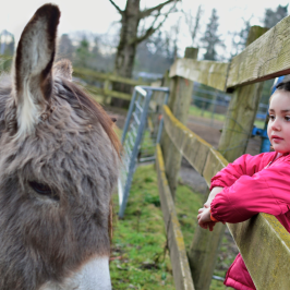 Pedagogical Farm Tour