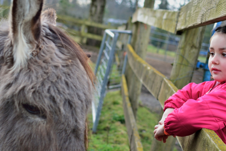 Pedagogical Farm Tour
