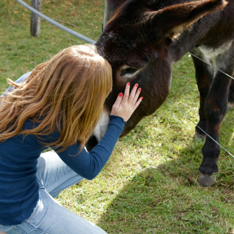Pedagogical Farm Tour