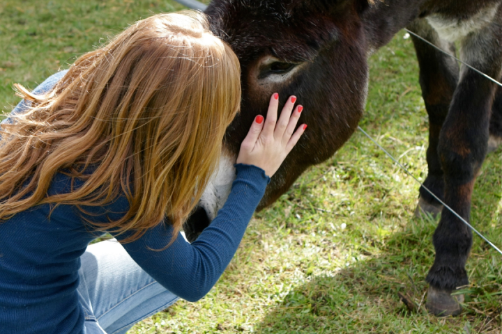 Pedagogical Farm Tour