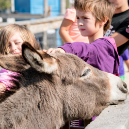 Pedagogical Farm Tour