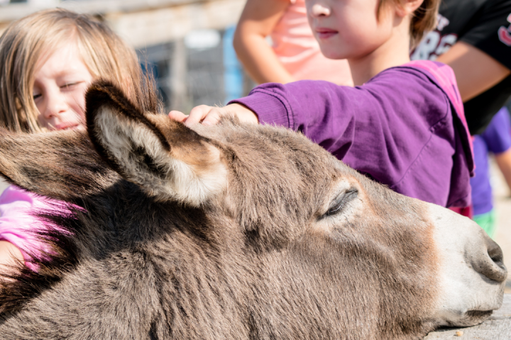 Pedagogical Farm Tour