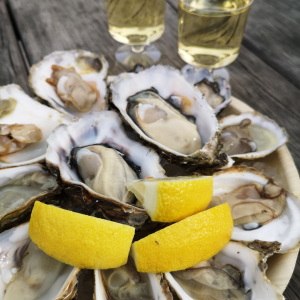 Wine & Oysters tour