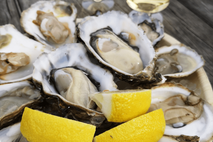 Wine & Oysters tour