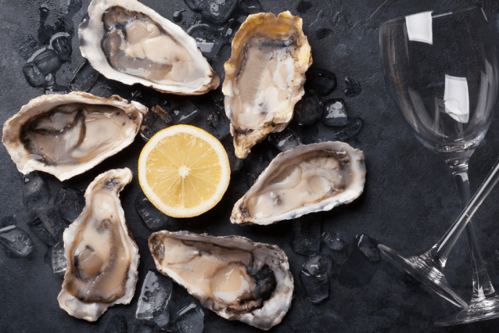 Wine & Oysters tour