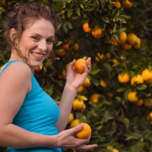 orange picking tour, algarve