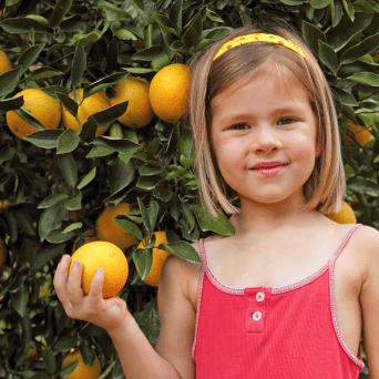 orange picking tour, algarve