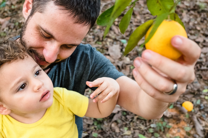 orange picking tour, algarve