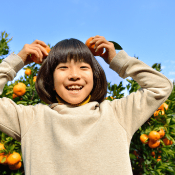 orange picking tour, algarve