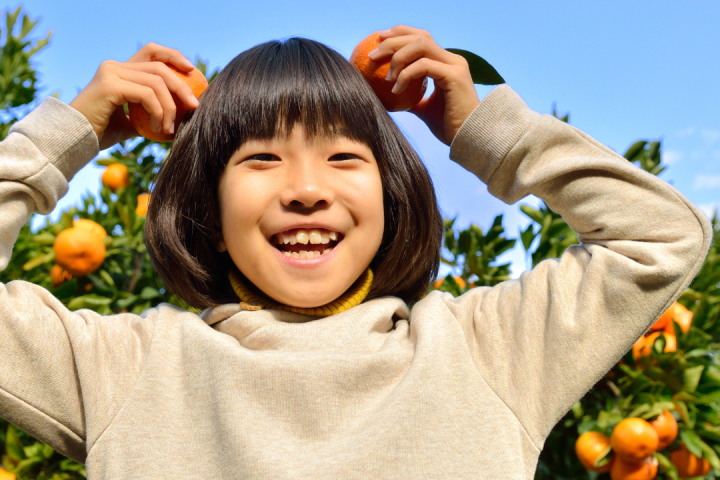 orange picking tour, algarve