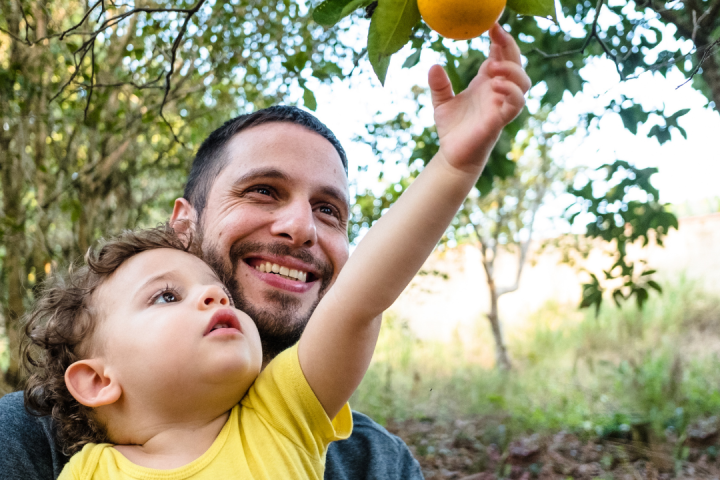 orange picking tour, algarve