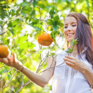 orange picking tour, algarve