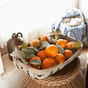 orange picking tour, algarve