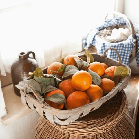 orange picking tour, algarve