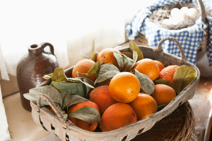 orange picking tour, algarve
