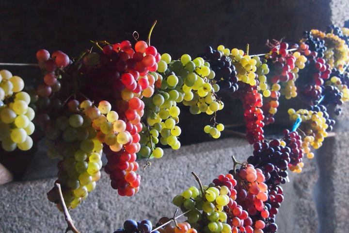 permaculture farm tour