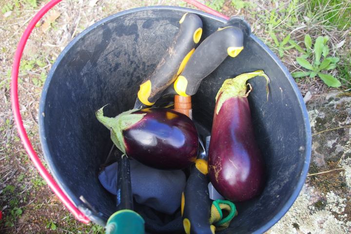 permaculture farm tour