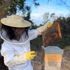 Azores Beekeeping Experience