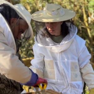 Azores Beekeeping Experience